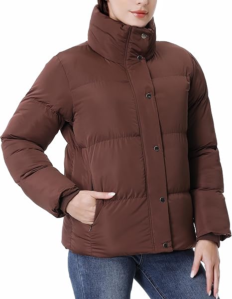 Women's Winter Coat Full-Zip Down Jacket Waterproof Puffer Coat Warm Parkas Long Sleeve Outerwear